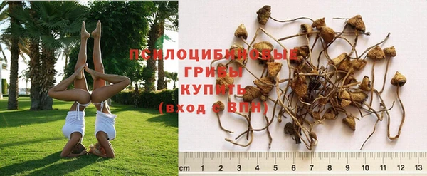 бутират Щучье