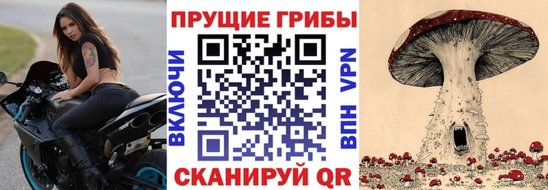 Купить где  Заволжск  Псилоцибиновые грибы MAGIC MUSHROOMS 